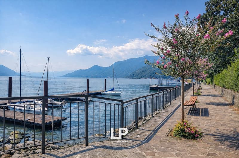 coastal path with railings, wooden bench, pink flowering tree, water with docks and boats
