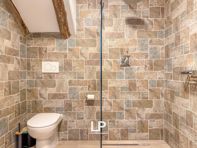 glass shower enclosure, white toilet, wooden beam, tiled wall