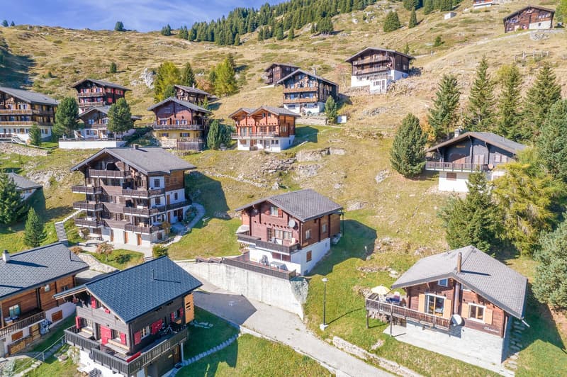 Authentic Swiss blockhouse chalet with unobstructed views and two living units in Riederalp West (3)