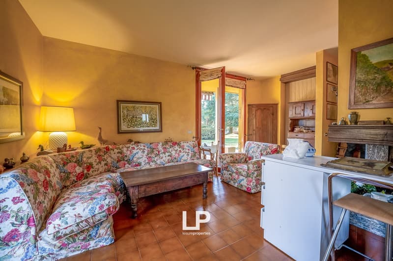 large sofa, coffee table, lamp, wooden cabinet, fireplace