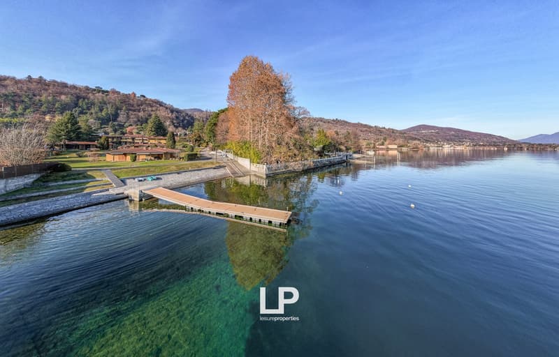Aerial view of a lake with a tree in the middle, pier in the foreground, lush vegetation, and mountains in the background. The lake has clear, green water.