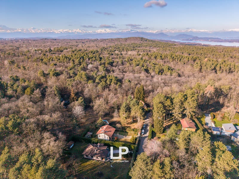 Countryside area with several detached houses surrounded by large trees, mountain landscape, blue sky