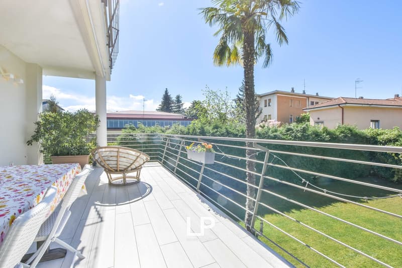 Wooden chair, white chairs, dining table, metal railings, palm tree, green bushes, open view, lawn.