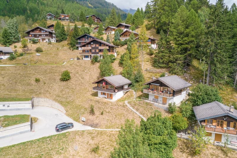 Chalet cluster with multiple buildings, mountain background, paved driveway, car parked at entrance