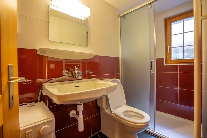 Charming 5.5-room chalet in an idyllic mountain location in Goms (23)