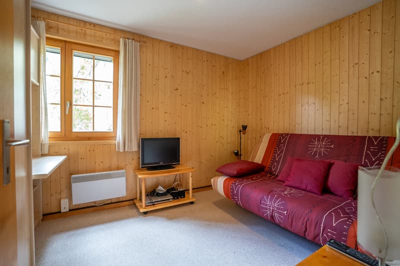 sofa with cushions, TV, electric heater, window, door