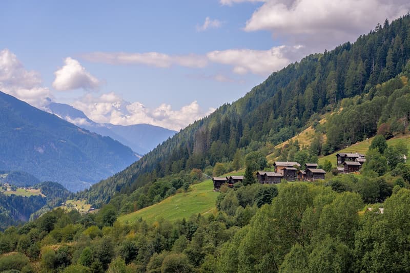 Charming 5.5-room chalet in an idyllic mountain location in Goms (11)