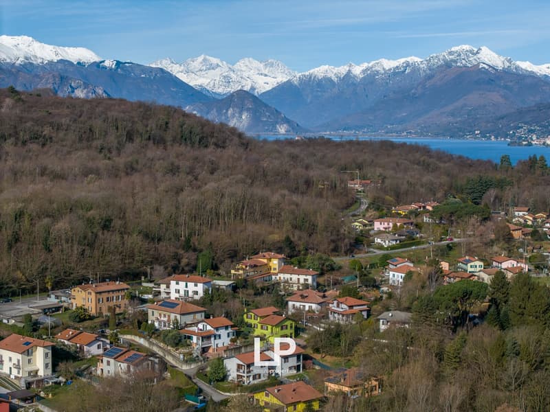 Aerial view of a town with many houses, green trees, and snowy mountains in the background.
