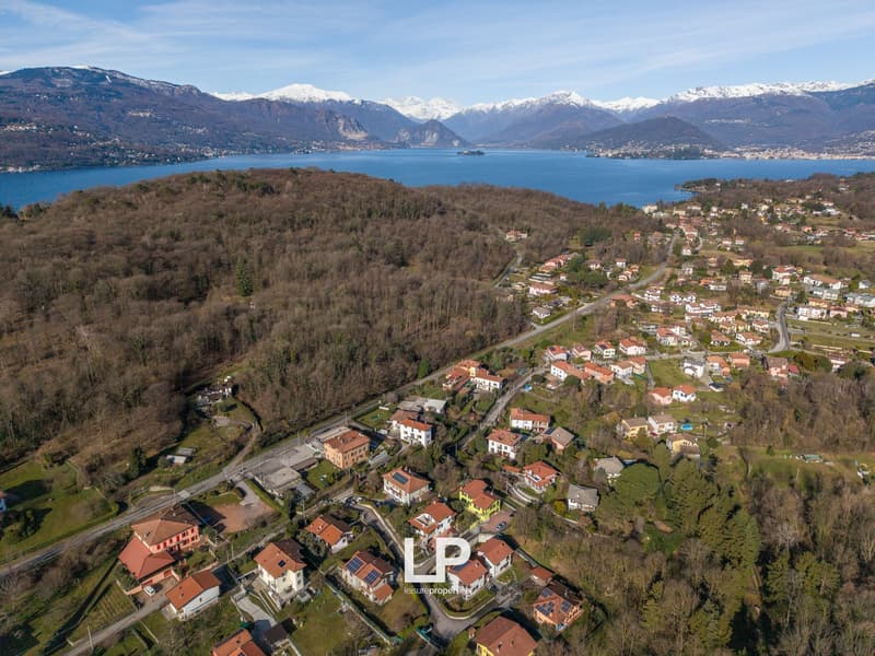 Mountainside residential neighborhood, houses with varied styles, mountainous background, a large lake in front, clear blue sky