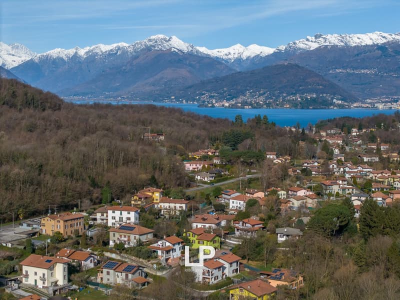 Mountain village overlooking a lake and snowy mountains, surrounded by trees and residential buildings, some with solar panels