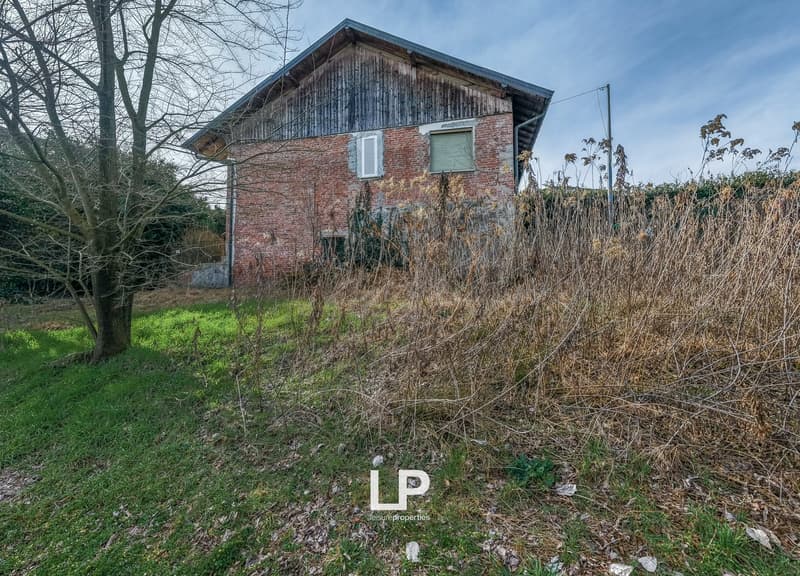 Old brick house, wooden roof, two windows, overgrown garden, tree