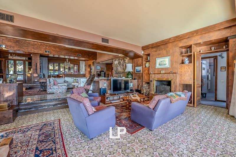 wooden walls, fireplace, large windows, sofa, armchairs, television, coffee table, rug