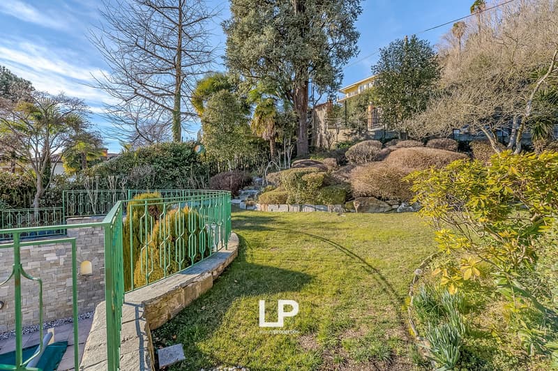 green lawn, green fence, trees, bushes, rocks, plants, shadow