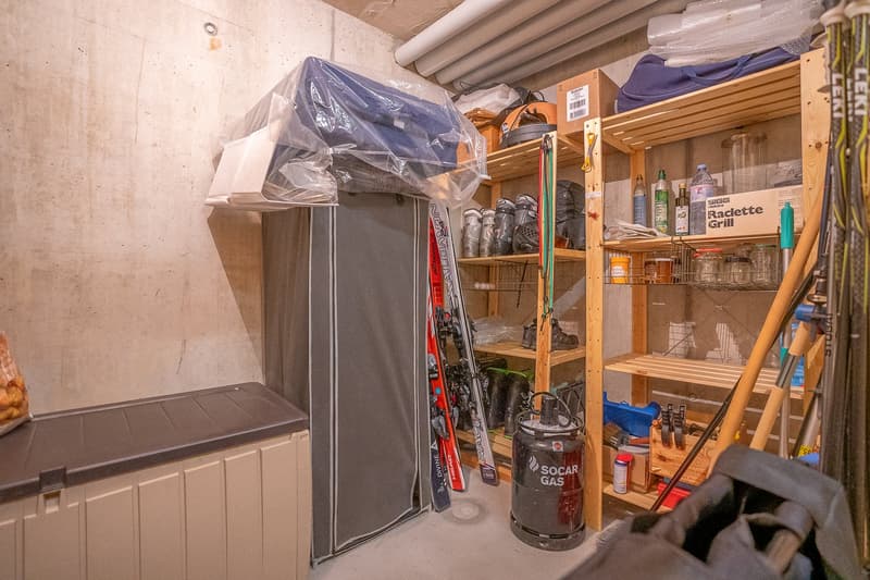 Storage room with shelves, skis, storage boxes, gas tank, and various items