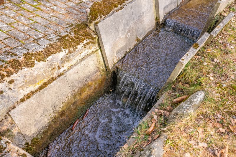 Concrete waterway with flowing water, moss on the sides, and dried leaves on the ground.