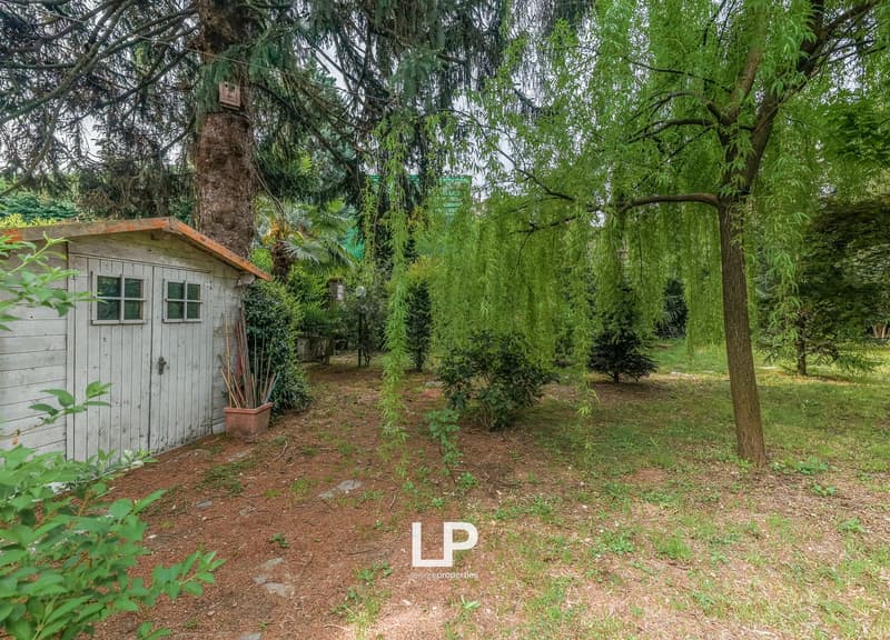 A garden with a shed, a tree, and a grassy area.