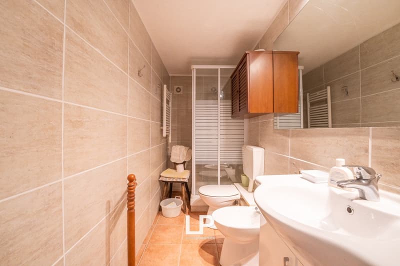 Bathroom with white tiles, wooden cabinet, white toilet, bidet, sink, mirror, and shower enclosure