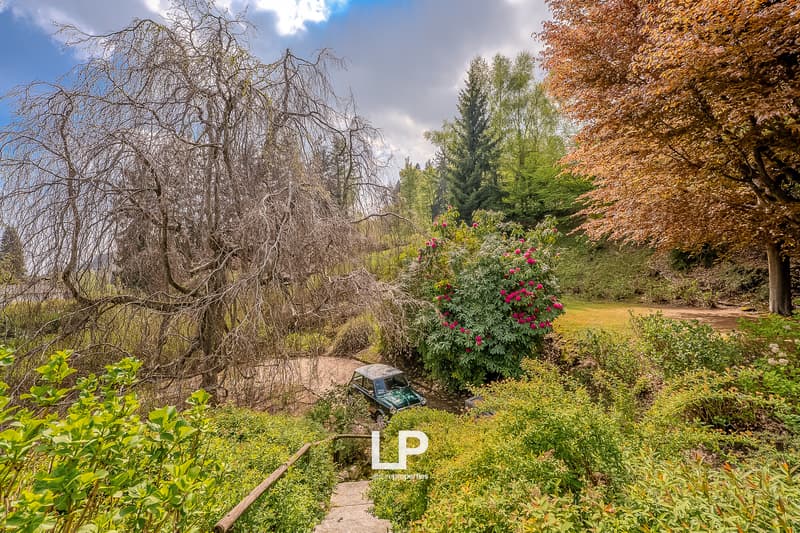 DSC06476-HDR
