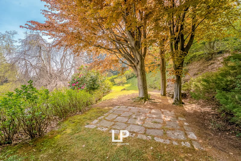 DSC06506-HDR