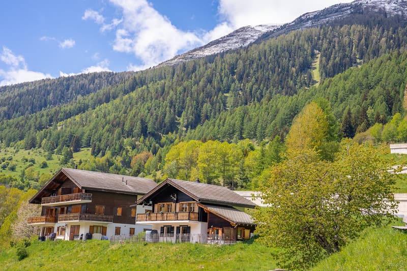 Charmantes Chalet in Goms – Idyllisches Bergdomizil (1)
