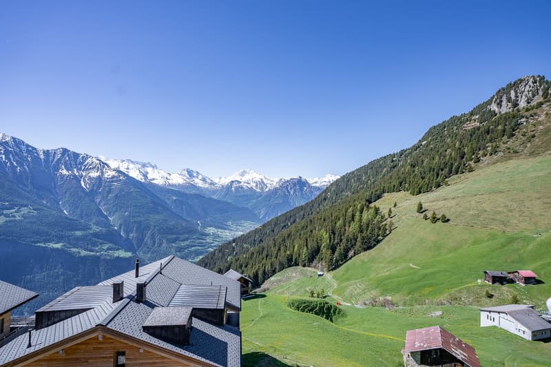 Almenrausch Panoramawohnung (7)