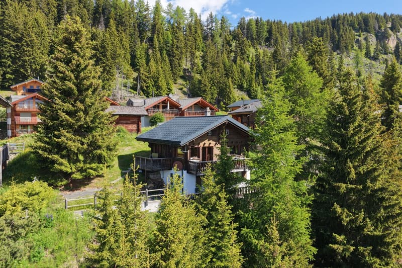 Charming 7-room chalet on the Aletschpromenade in Riederalp (1)