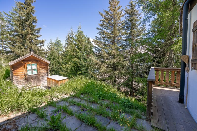 Charming 7-room chalet on the Aletschpromenade in Riederalp (20)