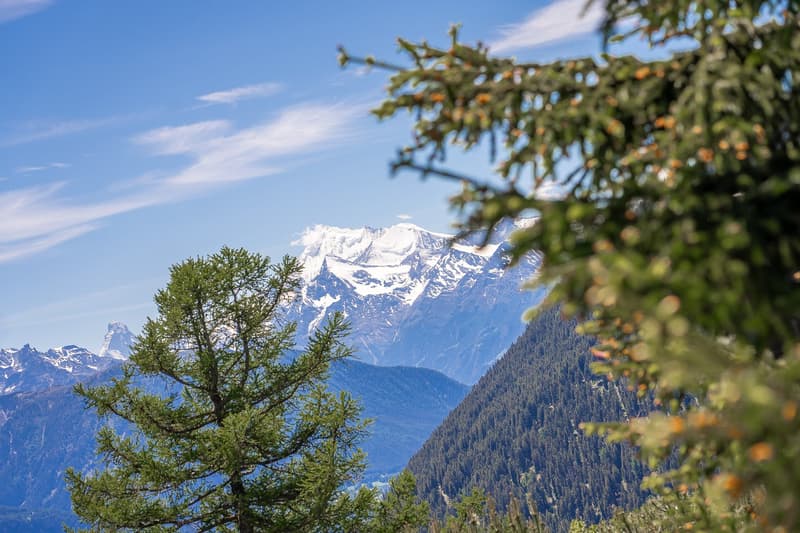 Charming 7-room chalet on the Aletschpromenade in Riederalp (8)