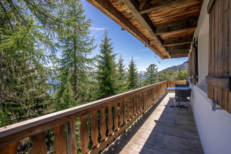 Charming 7-room chalet on the Aletschpromenade in Riederalp (21)