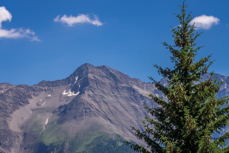 Grosszügige Ferienwohnung mit drei Balkonen im Herzen der Bettmeralp (23)