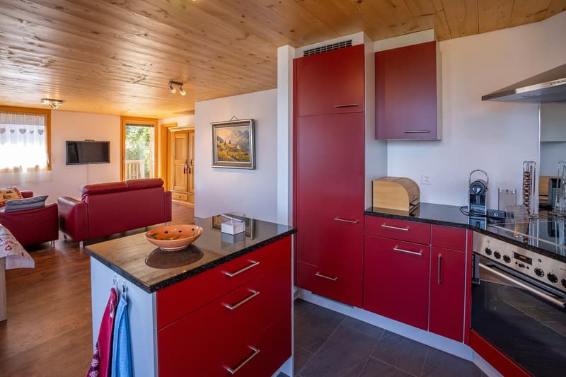 Grosszügige Ferienwohnung mit drei Balkonen im Herzen der Bettmeralp (15)