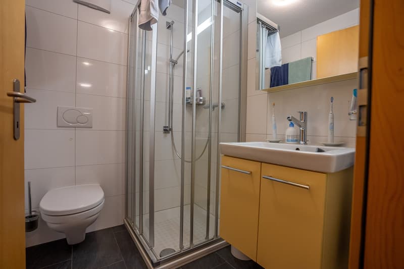Stylish 2.5-room apartment with sun terrace in the heart of Bettmeralp (12)