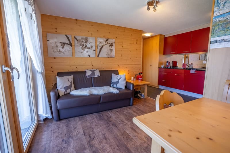 Stylish 2.5-room apartment with sun terrace in the heart of Bettmeralp (7)