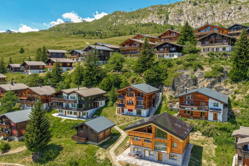 Stylish 2.5-room apartment with sun terrace in the heart of Bettmeralp (3)