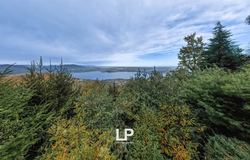 DJI_0041