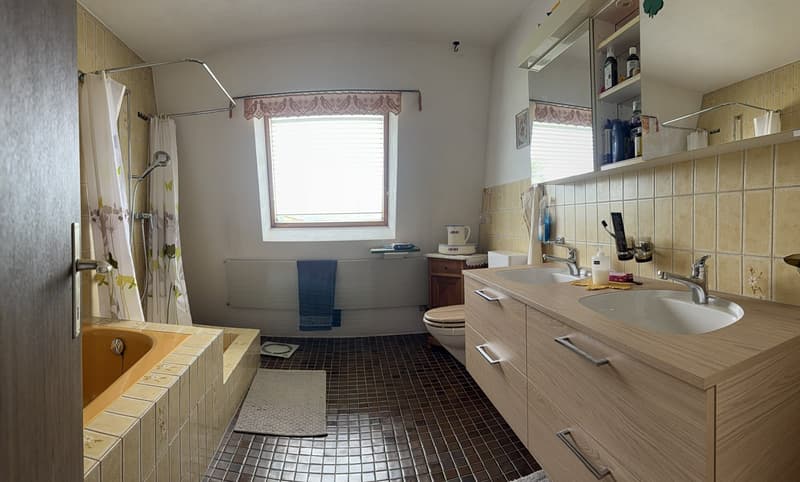 Badezimmer mit Badewanne, Dusche und Doppellavabo