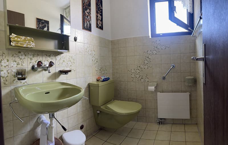 Gäste WC im EG