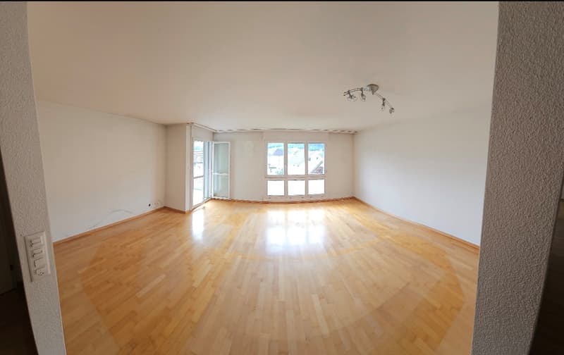Helle 4 1/2-Zimmer-Wohnung mit direkter Sicht auf den Pilatus (2)
