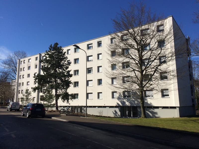 4.5 Zimmer-Wohnung am Kesselweg 47a in Liestal (1)