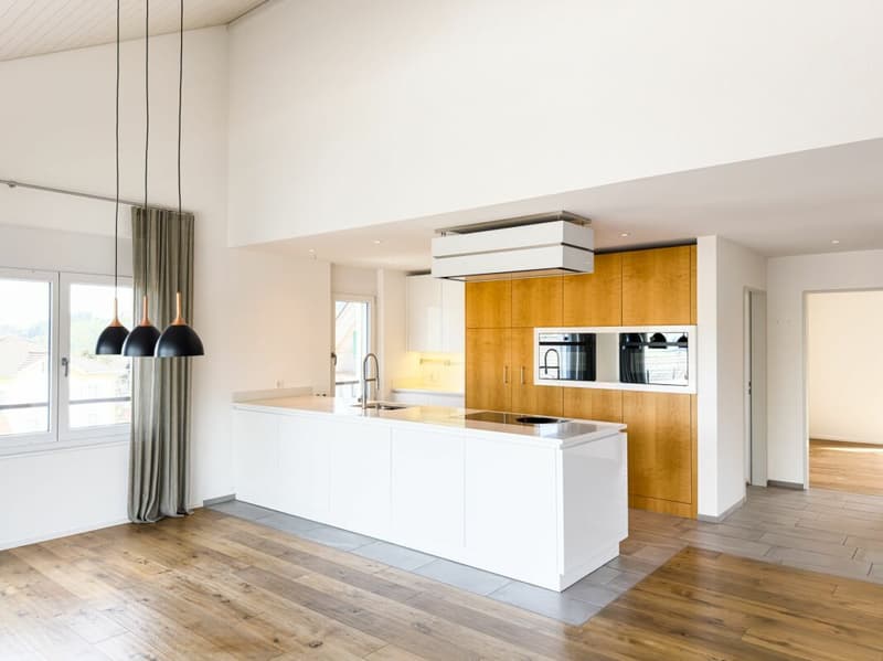 Apartment with large terrace and grandiose view (4)