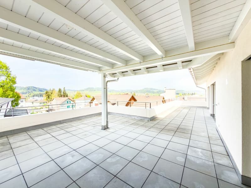 Apartment with large terrace and grandiose view (2)