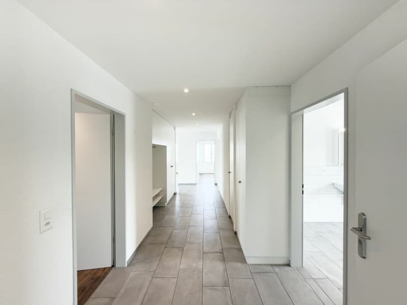 Apartment with large terrace and grandiose view (12)