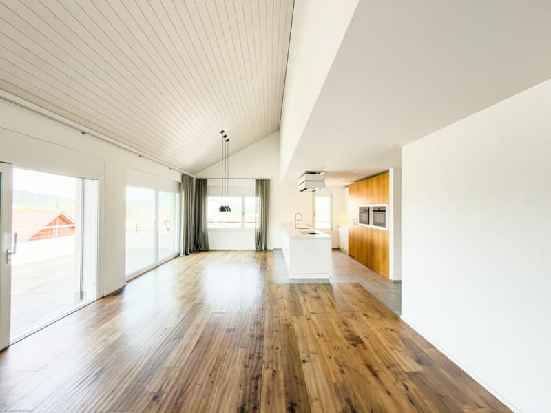 Apartment with large terrace and grandiose view (3)