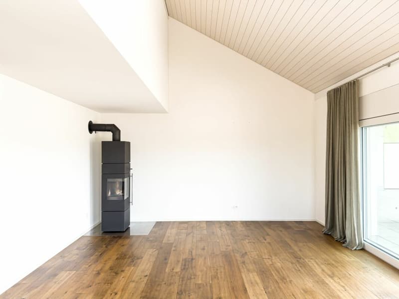 Apartment with large terrace and grandiose view (5)