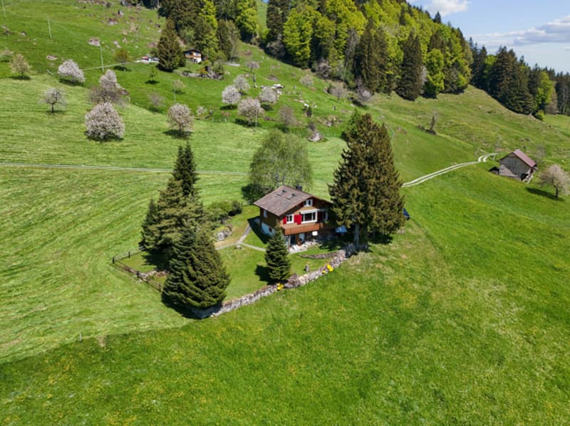 DJI_20260430123311_0935_D