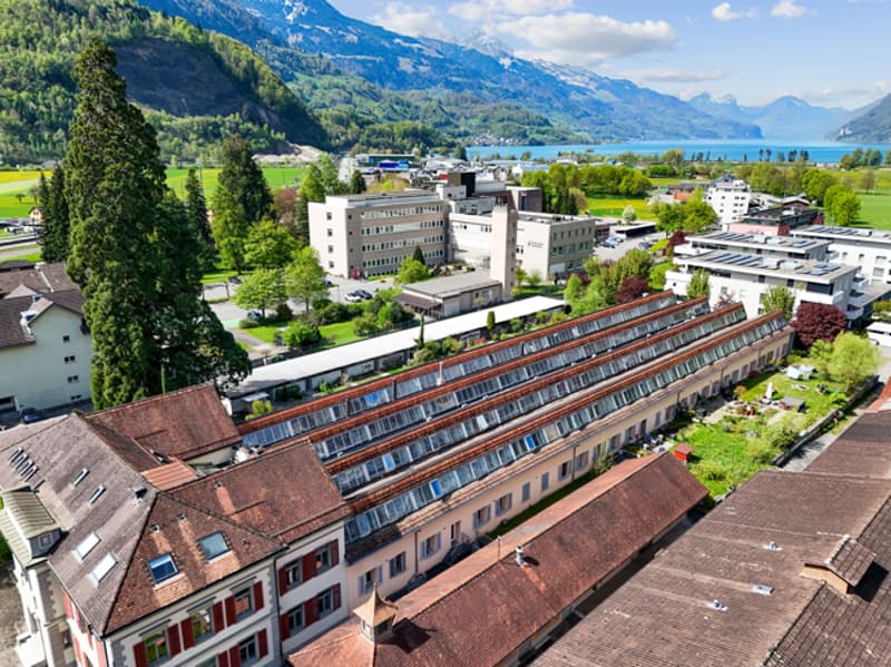 DJI_20260418114535_0648_D