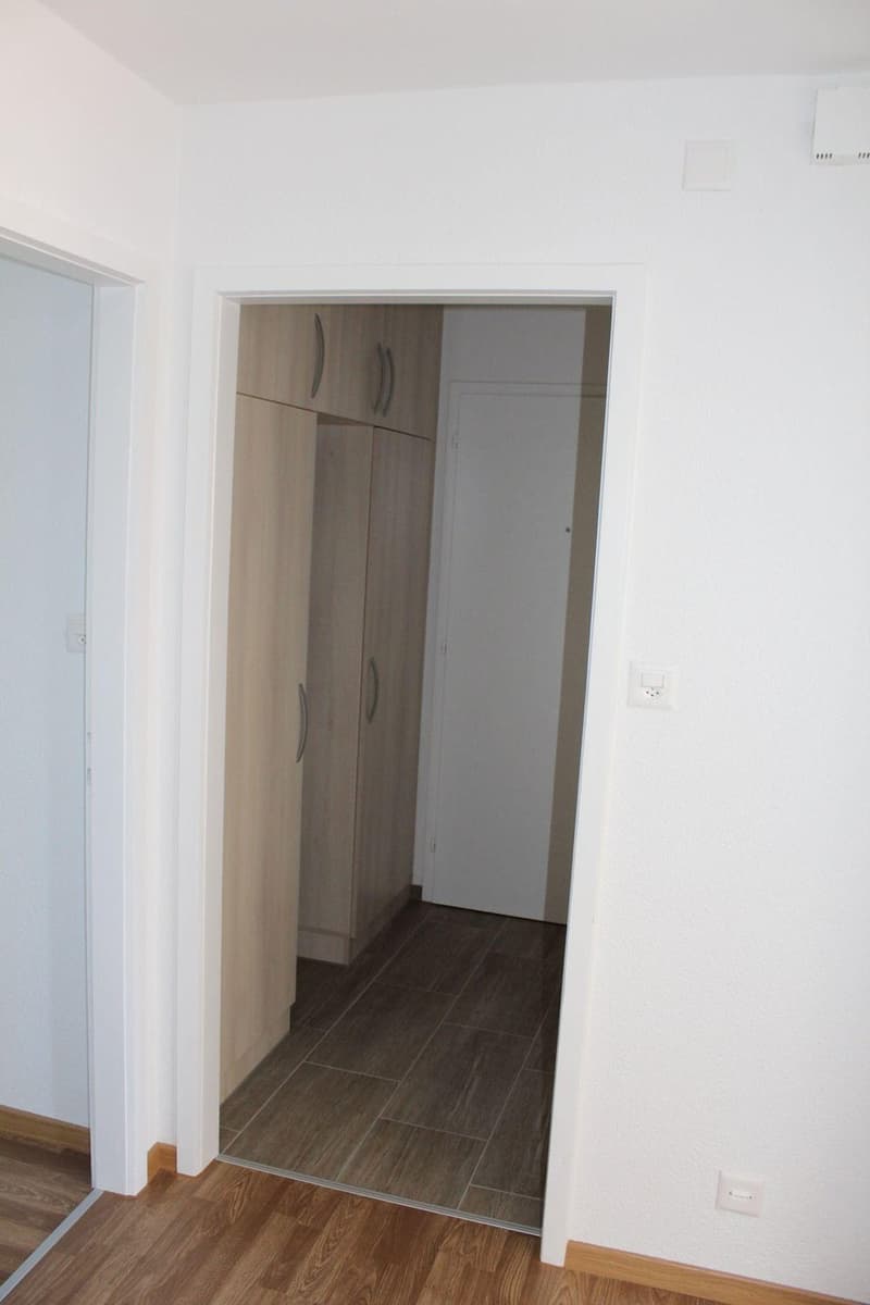 Appartamento di 3 locali, fresco di pittura a Courgenay! (3)