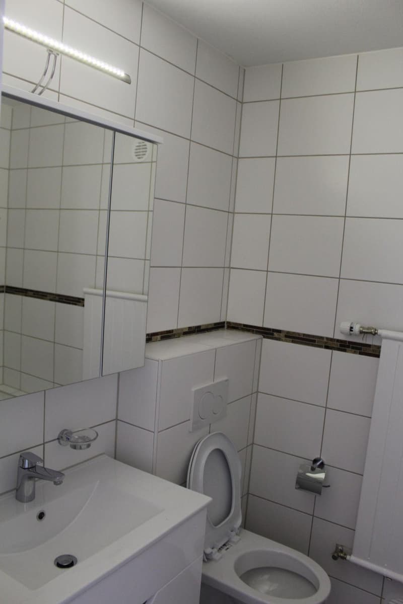 Appartamento di 3 locali, fresco di pittura a Courgenay! (2)