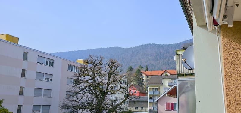 Affascinante appartamento di 3 camere nel centro di Grenchen (2)