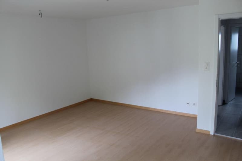 Charming 4-room apartment in a quiet location in Zuchwil (7)